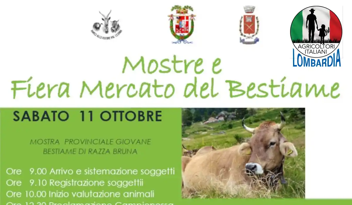 Mostre e fiera mercato del bestiame