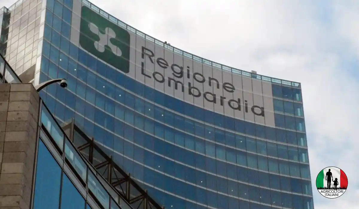 Dynamic Content Image