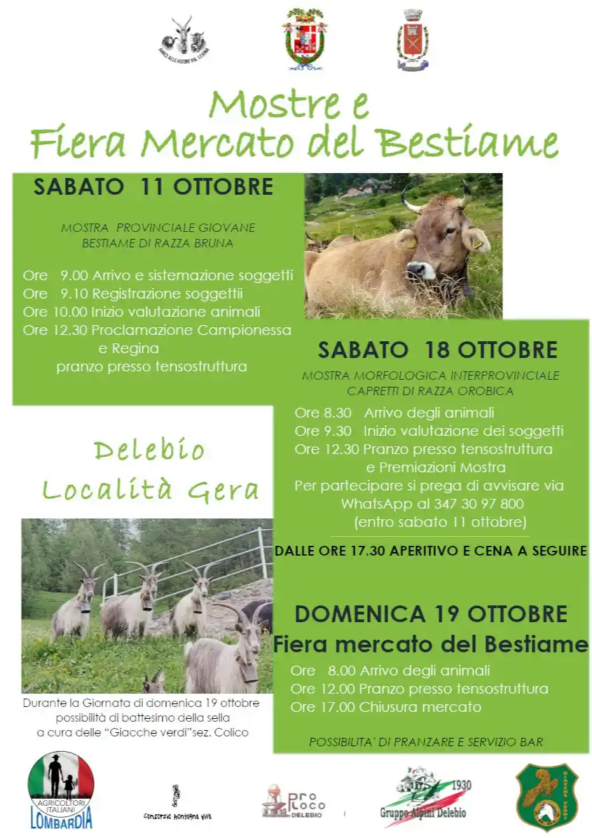 Mostre e fiera mercato del bestiame